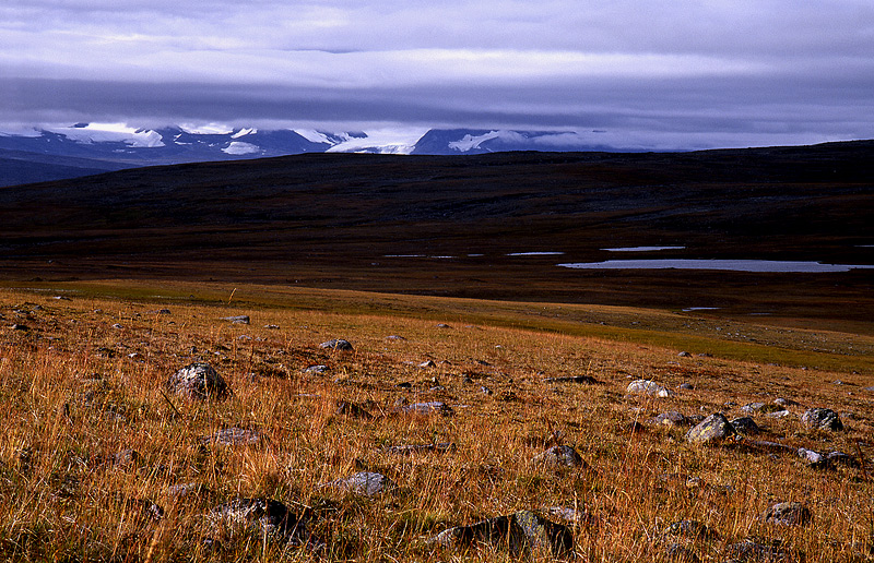 Bilder aus Lappland #11