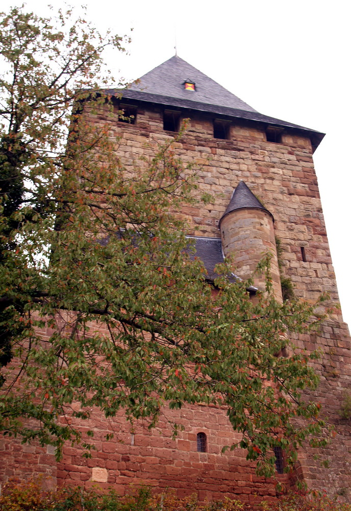 Bilder Burg Nideggen und Umgebeung..3
