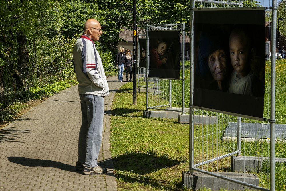 Bilder einer Ausstellung