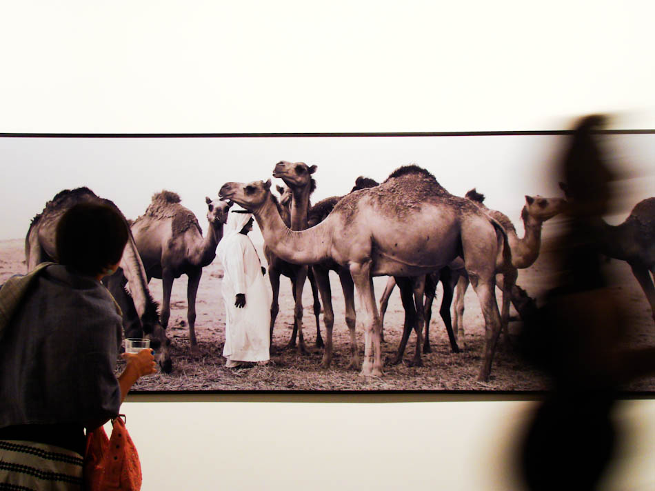 bilder einer ausstellung II