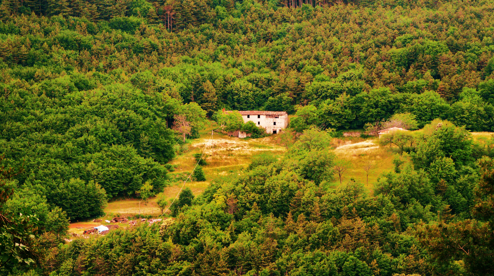 Bilder einer Landschaft