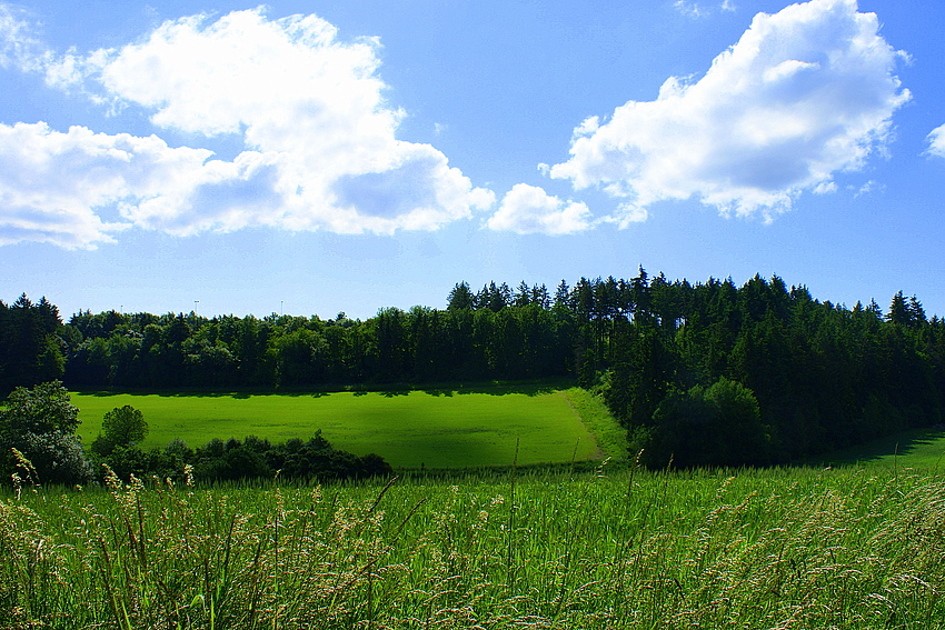 Bilder einer Wanderung...