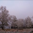 Bilder eines Winters (2)