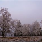 Bilder eines Winters (2)