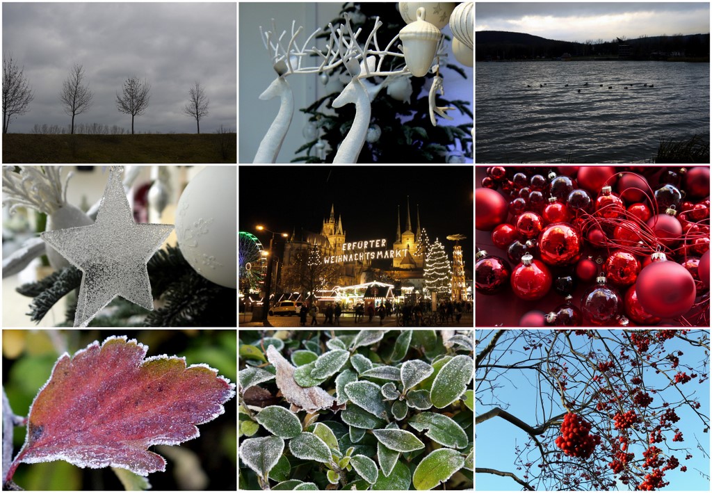 Bilder im Dezember