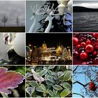 Bilder im Dezember