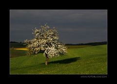 Bilder sind Gefühlssache