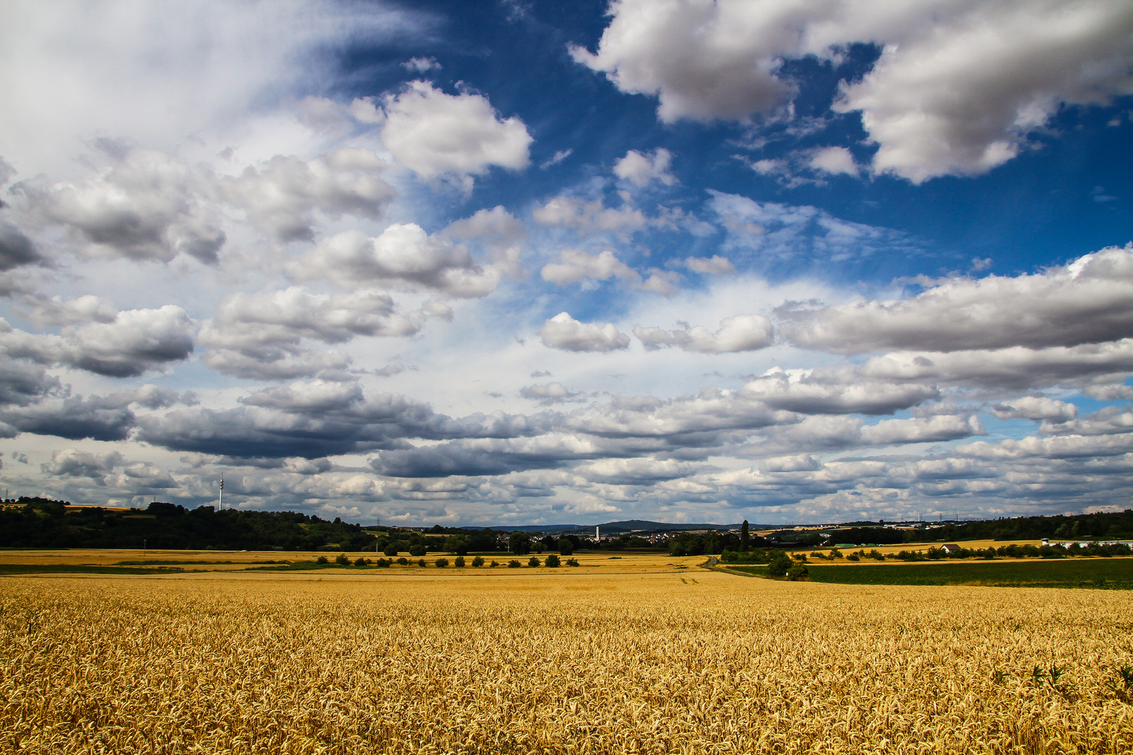 Bilder vom letzten Herbst...04