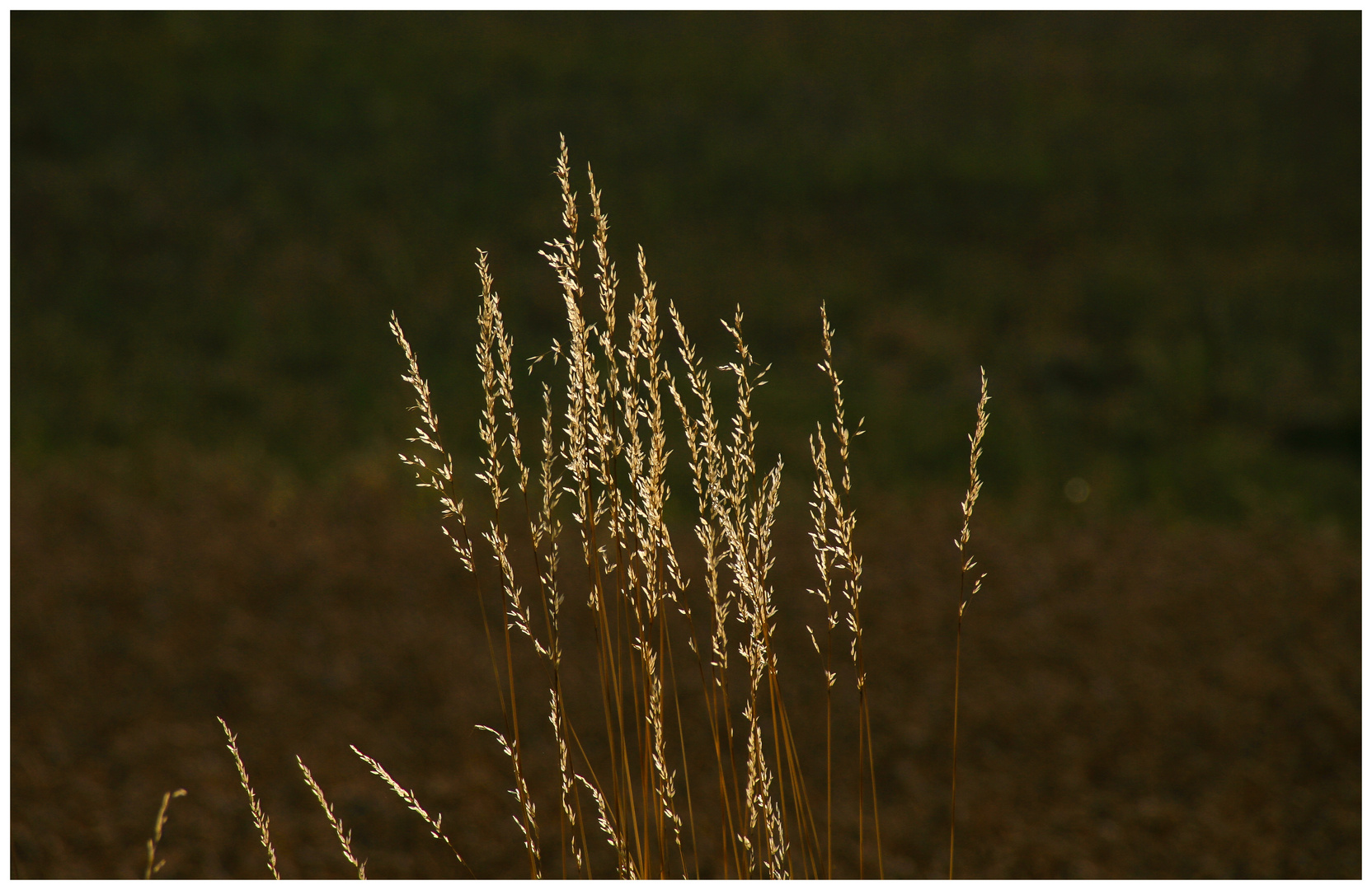 Bilder vom letzten Herbst...09