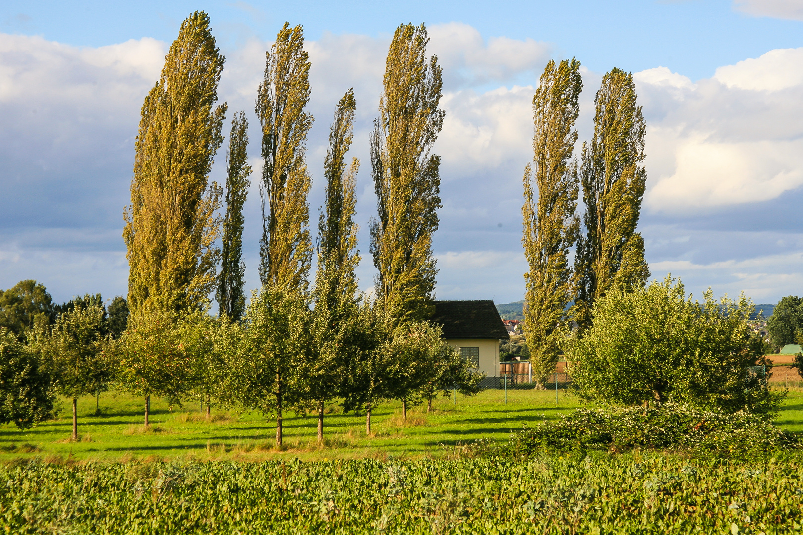 Bilder vom letzten Herbst...16