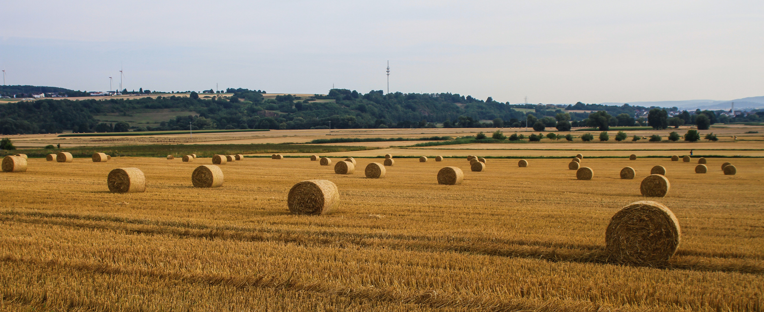 Bilder vom letzten Herbst...17