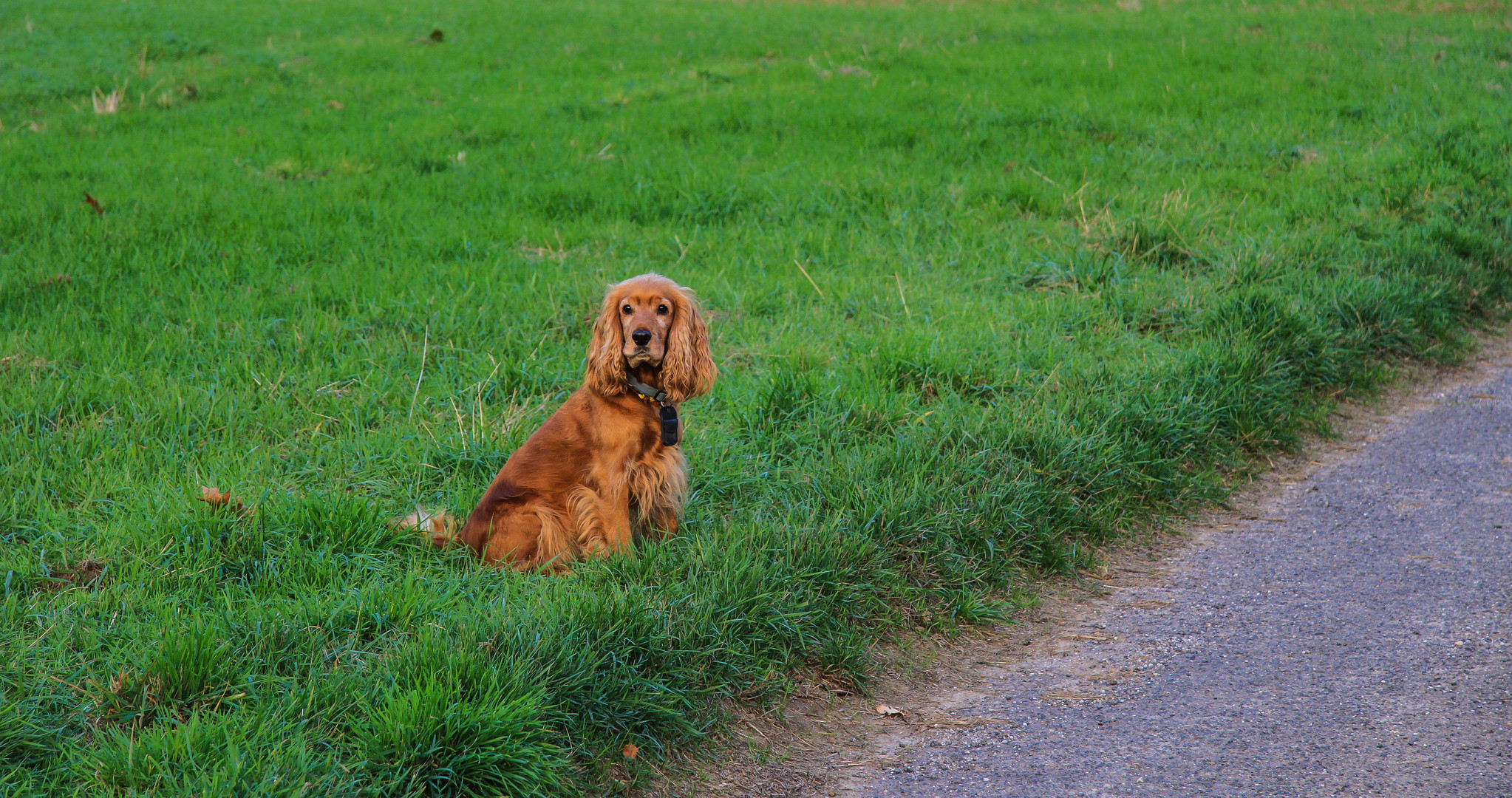 Bilder vom letzten Herbst...21