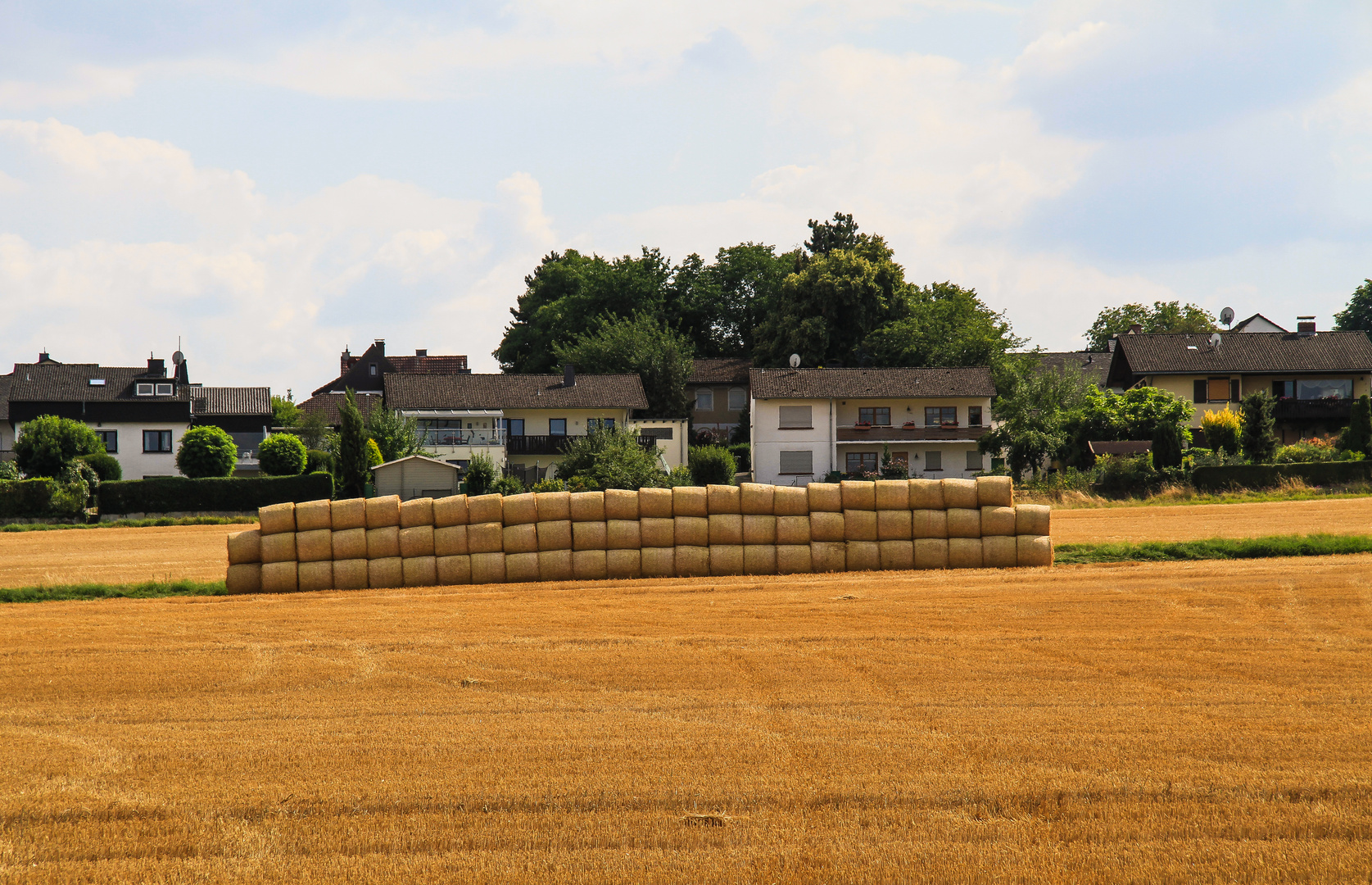 Bilder vom letzten Herbst...22