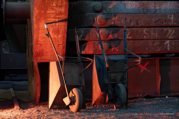 Bilder von meiner Fototour im...