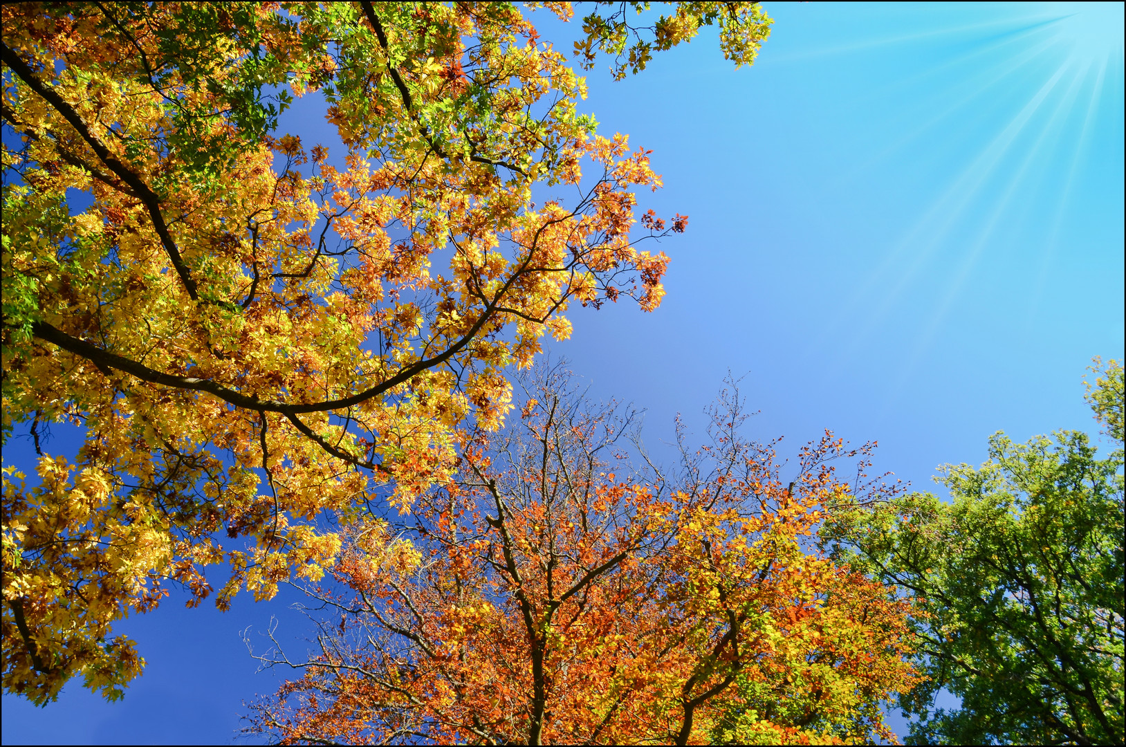 Bilderbuch-Herbst