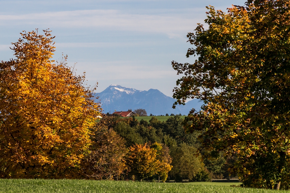 Bilderbuch-Herbst