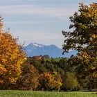 Bilderbuch-Herbst