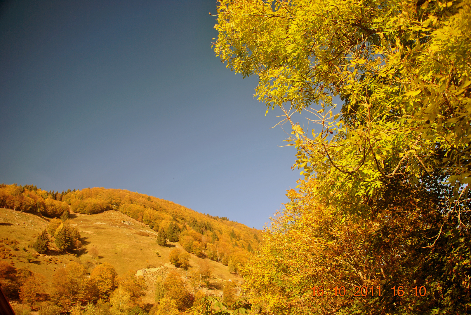 Bilderbuch-Herbst