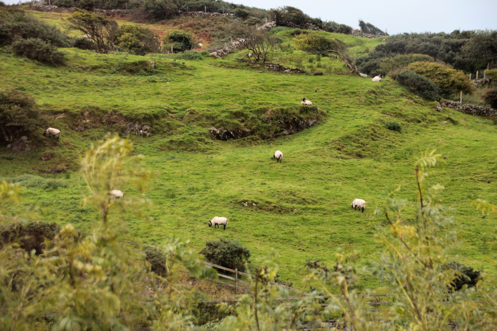 Bilderbuch-Irland