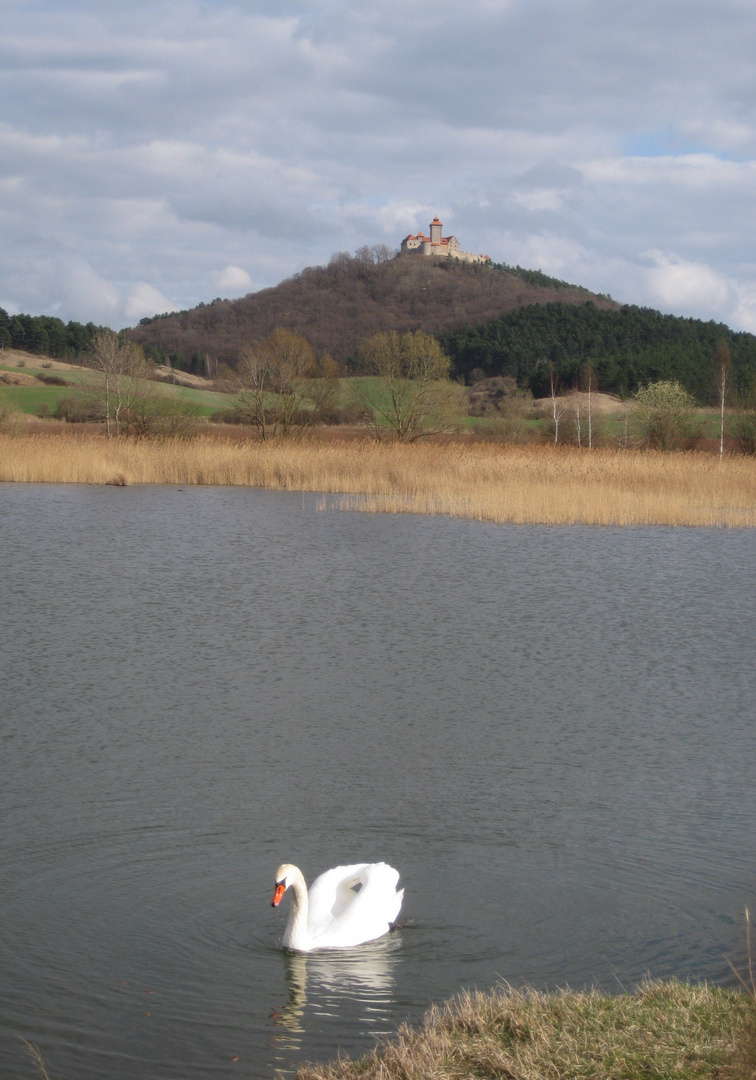 Bilderbuch Landschaft