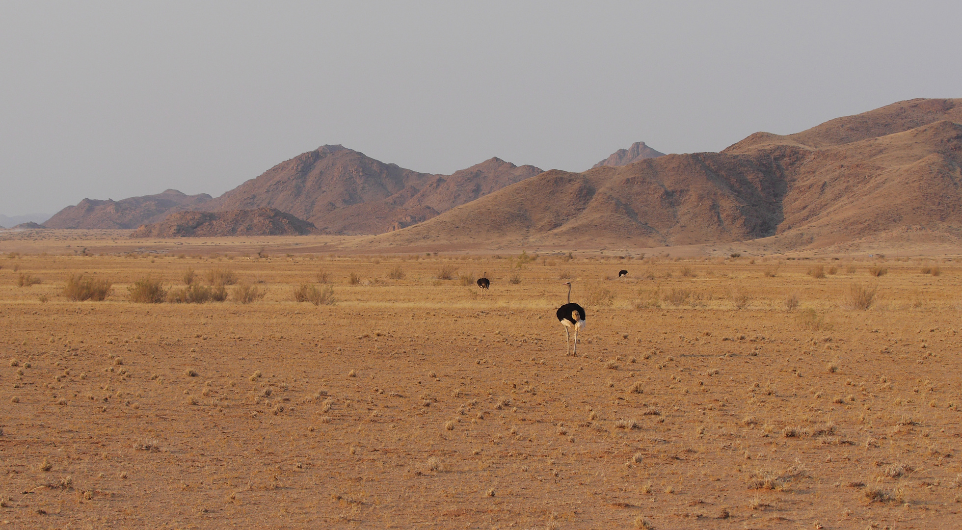 Bilderbuch Namibia