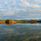 bilderbuch oberbayern: am puls der natur