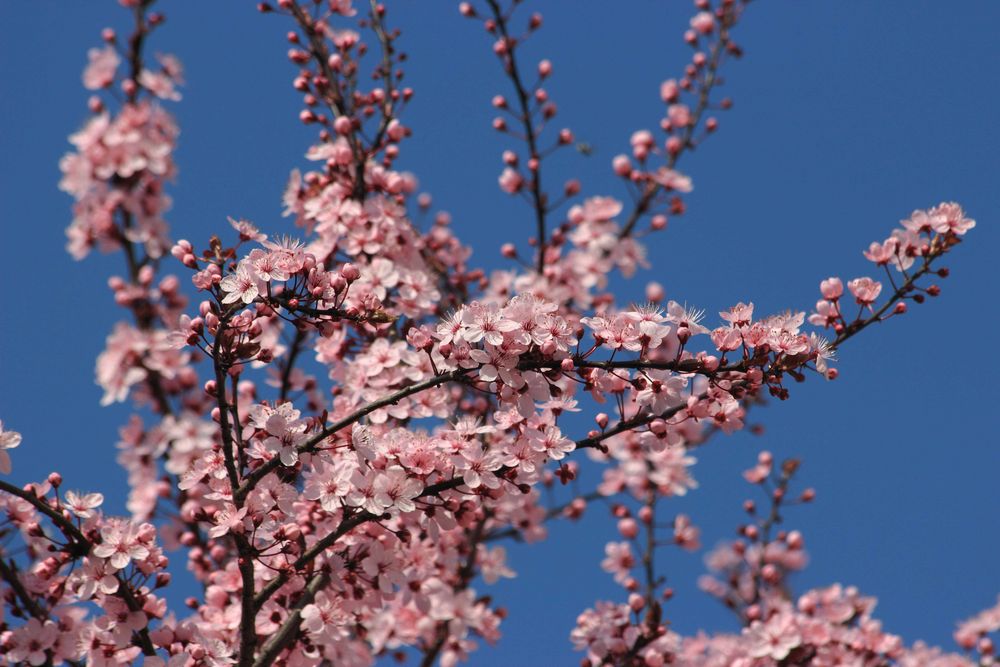 Bilderbuch Wetter