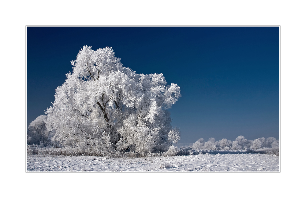 Bilderbuch-Wintertag