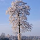 Bilderbuch-Winterwetter