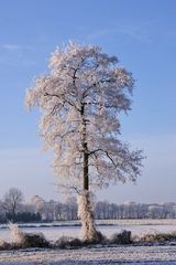 Bilderbuch-Winterwetter