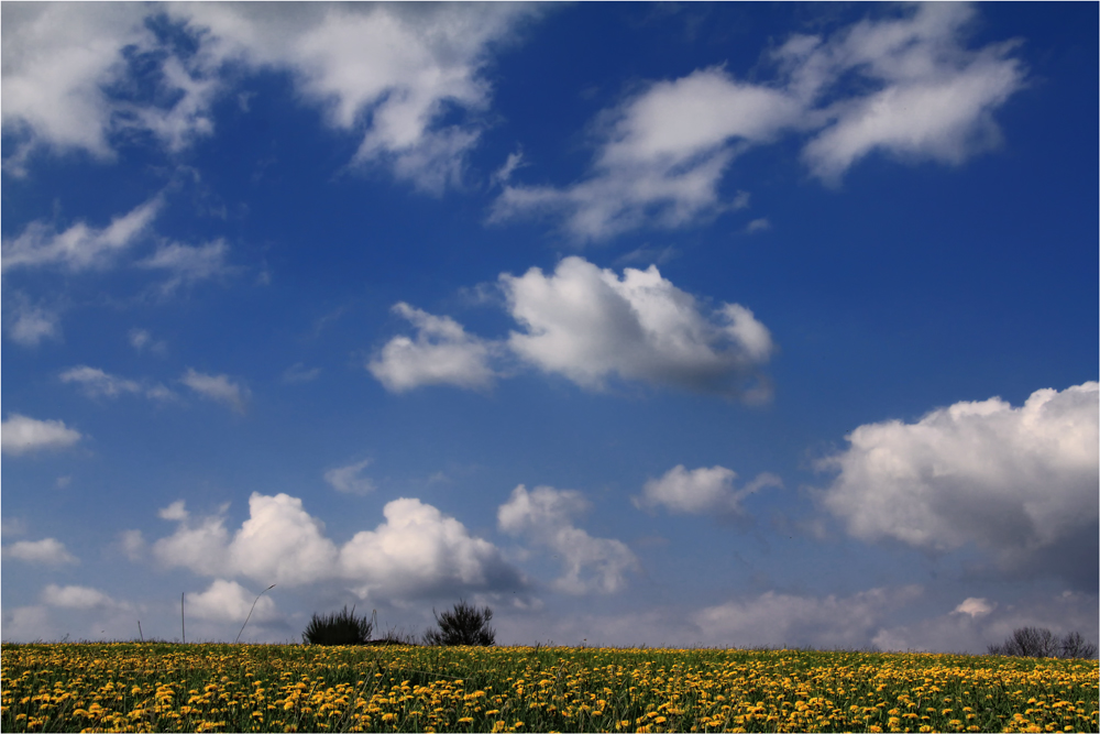 BILDERBUCH-WOLKEN ...