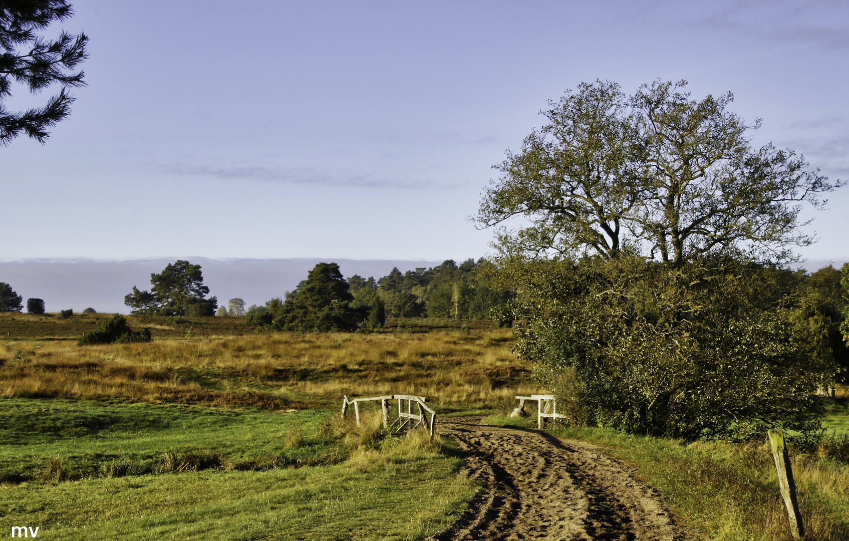 Bilderbuchheide