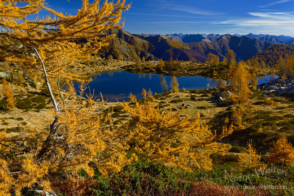 Bilderbuchherbst