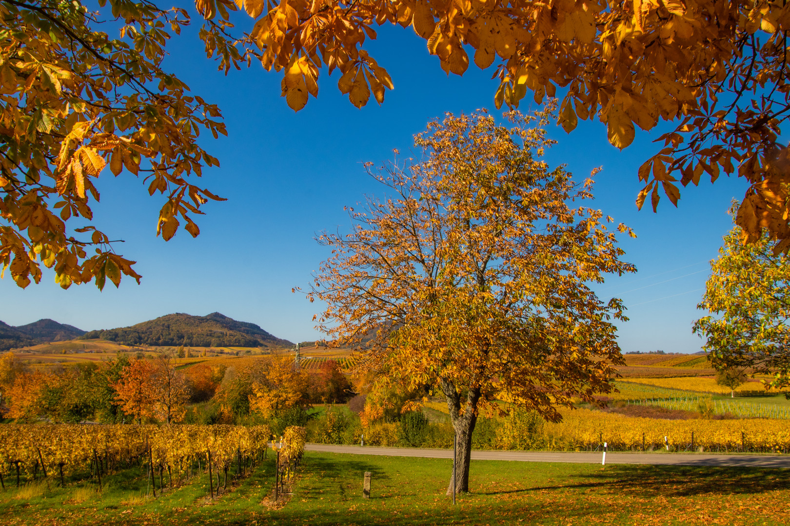 Bilderbuchherbst