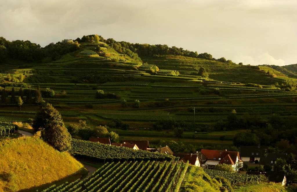 Bilderbuchlandschaft