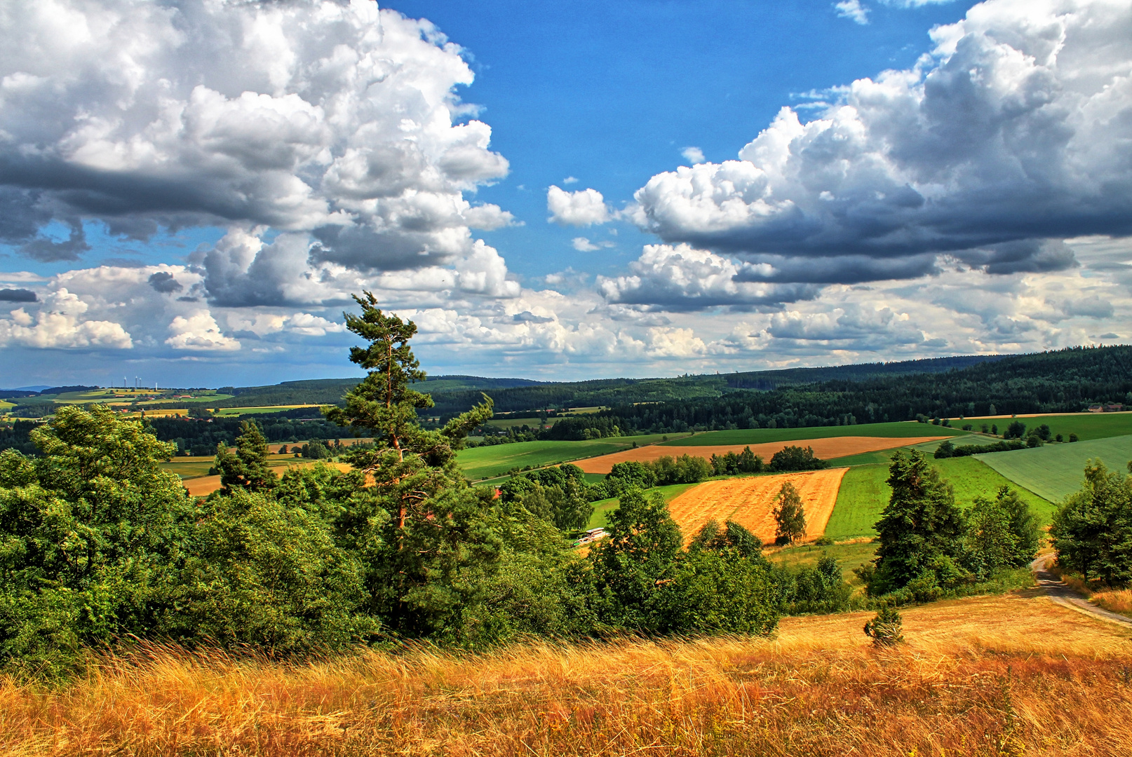 Bilderbuchsommer