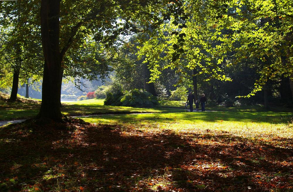 "Bilderbuchsonntag " im Schloßpark Lütetsburg.......