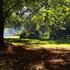 "Bilderbuchsonntag " im Schloßpark Lütetsburg.......