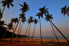 Bilderbuchstrand in Goa