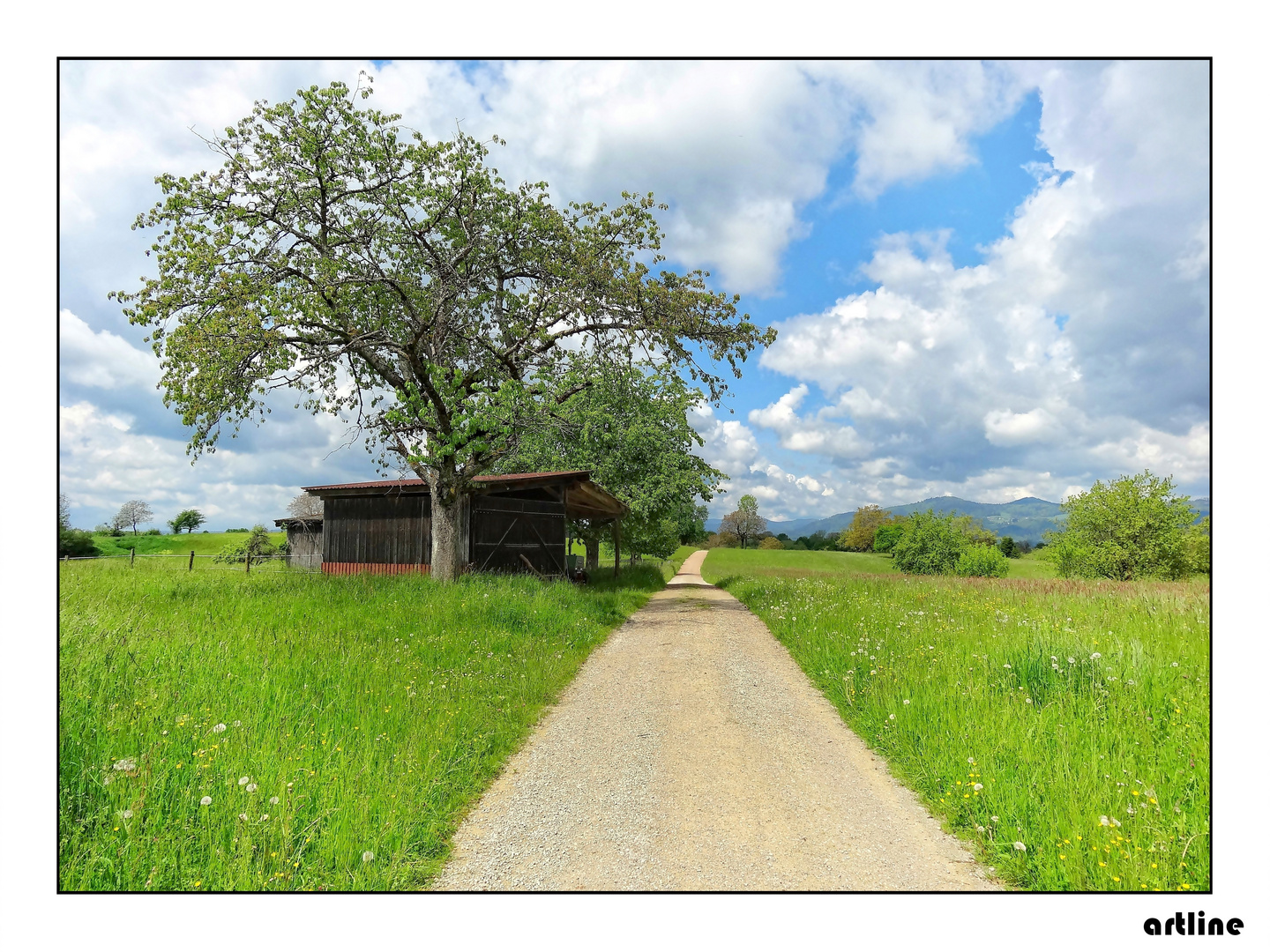 Bilderbuchwetter