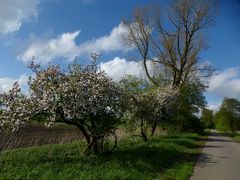 Bilderbuchwetter