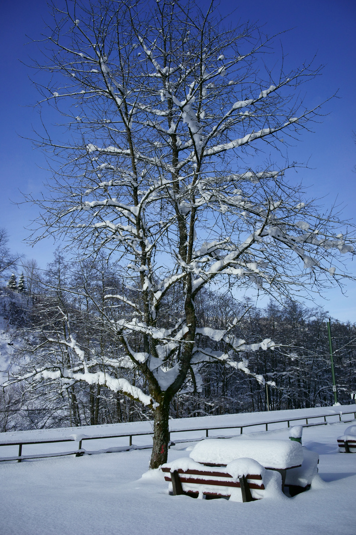 Bilderbuchwetter am 18. Januar 2016