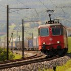 Bilderbuchwetter am Unteren Hauenstein