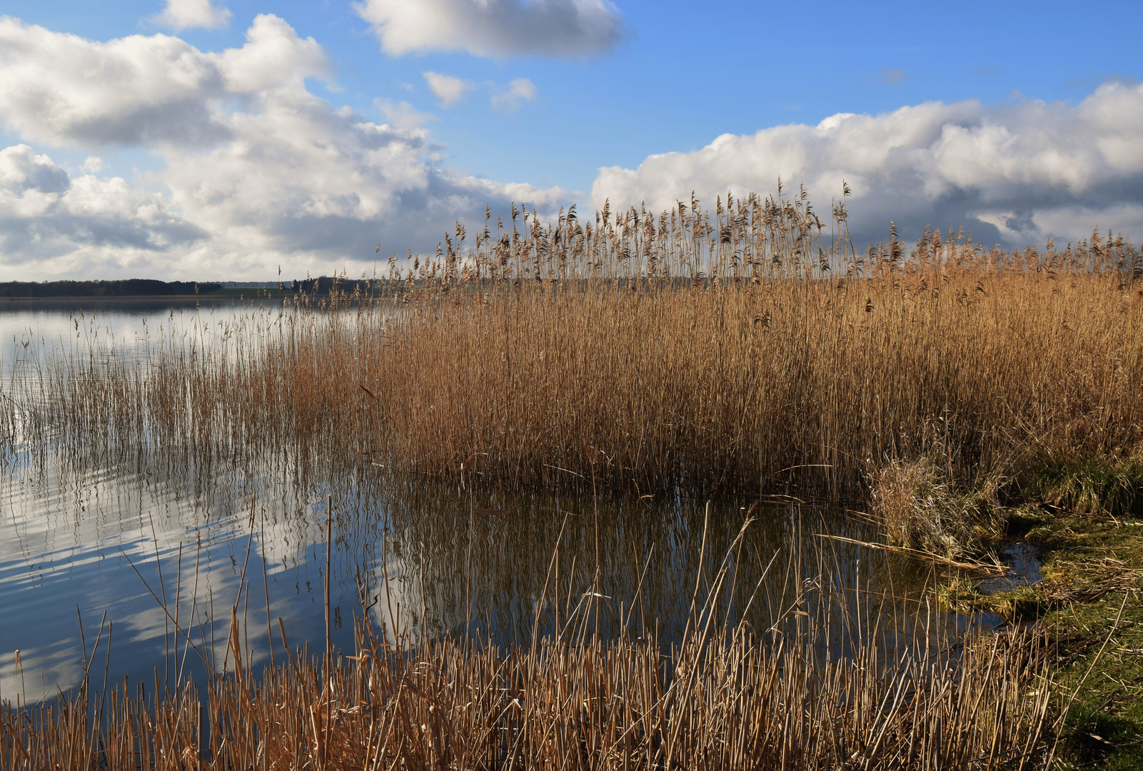 Bilderbuchwetter