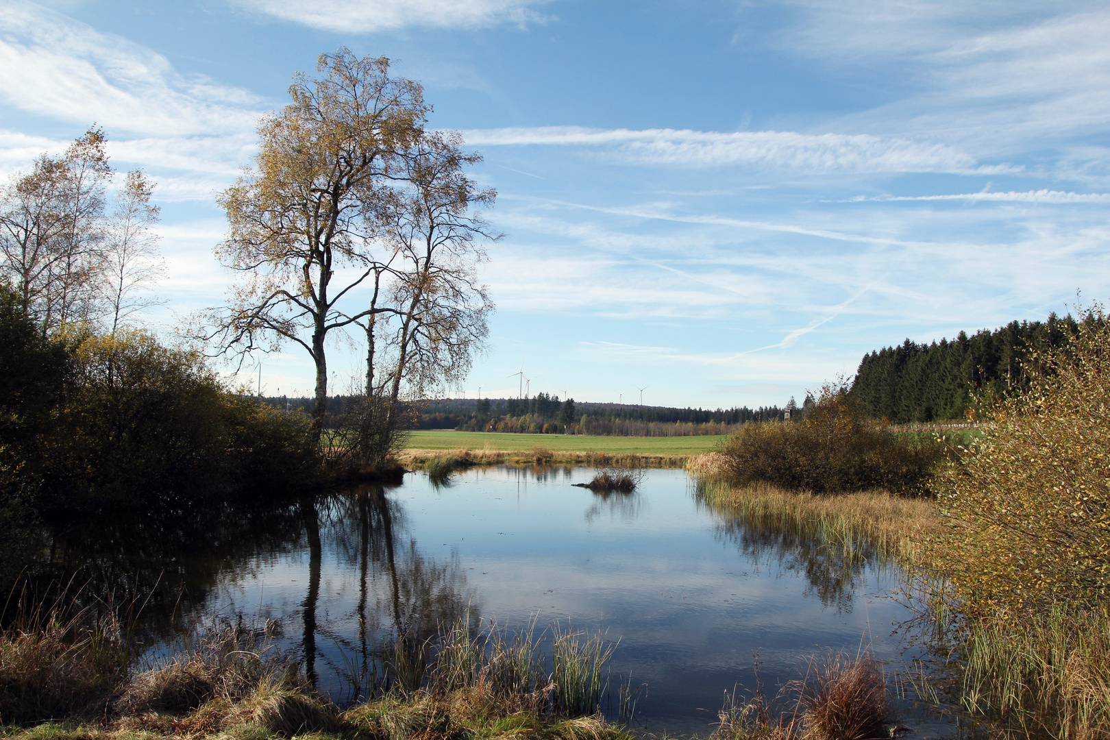 Bilderbuchwetter