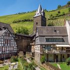 Bilderbuchwetter in Bacharach / Rhein