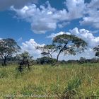 Bilderbuchwetter und Bilderbuchlandschaft / Venezuela / Südamerika