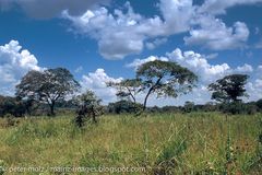 Bilderbuchwetter und Bilderbuchlandschaft / Venezuela / Südamerika