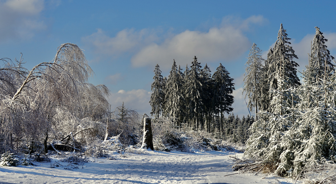 Bilderbuchwinter