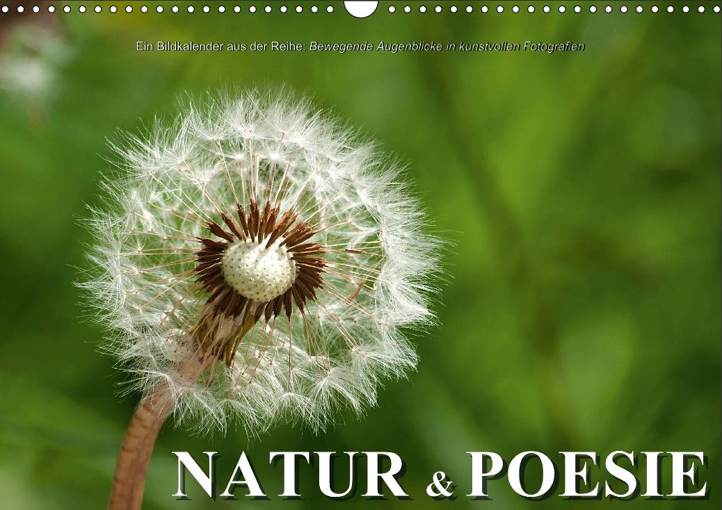 Bildkalender 2015 "Natur und Posie"